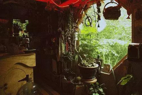 季羡林:温馨家庭不可或缺的气氛